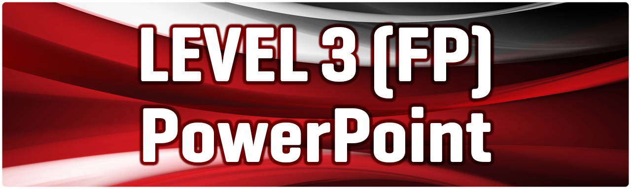 Level 3 FP PowerPoint