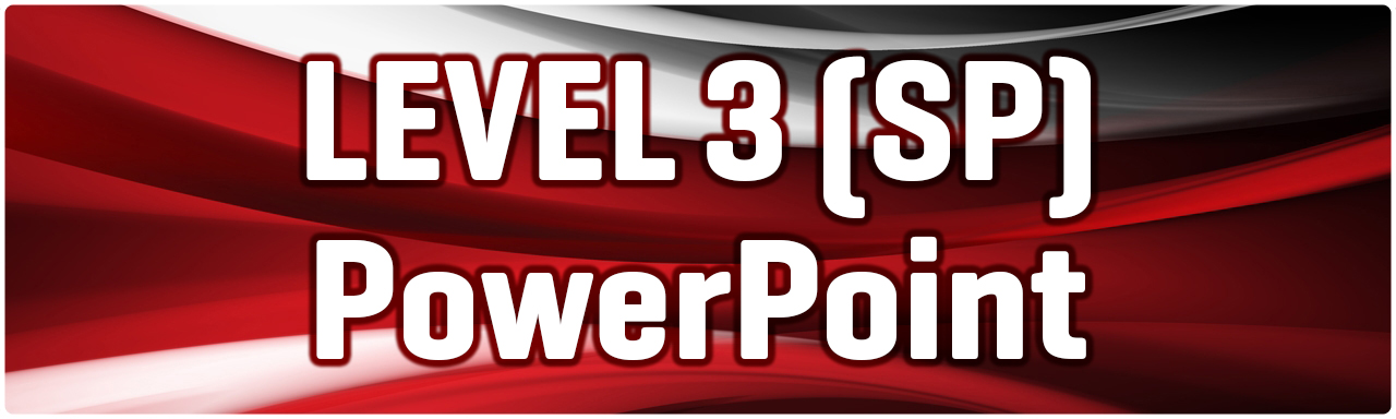 Level 3 SP PowerPoint