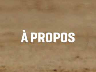 À propos